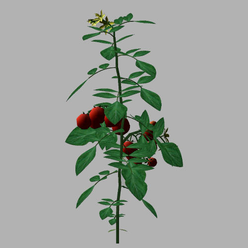 Virtual plants and AI